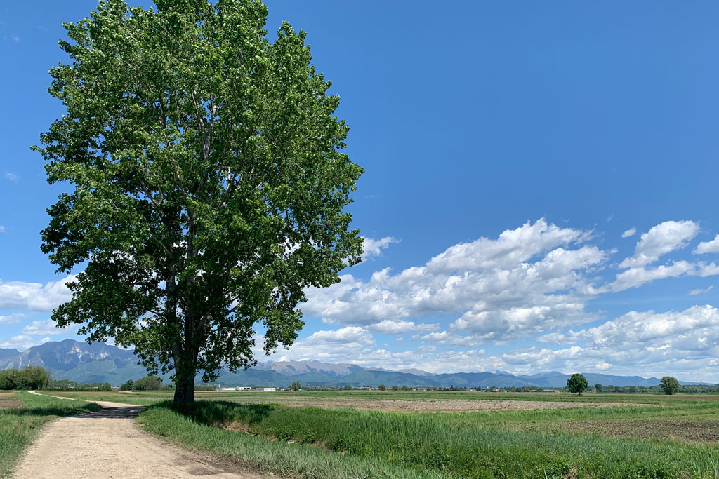 Slide 4. Il salotto delle colline