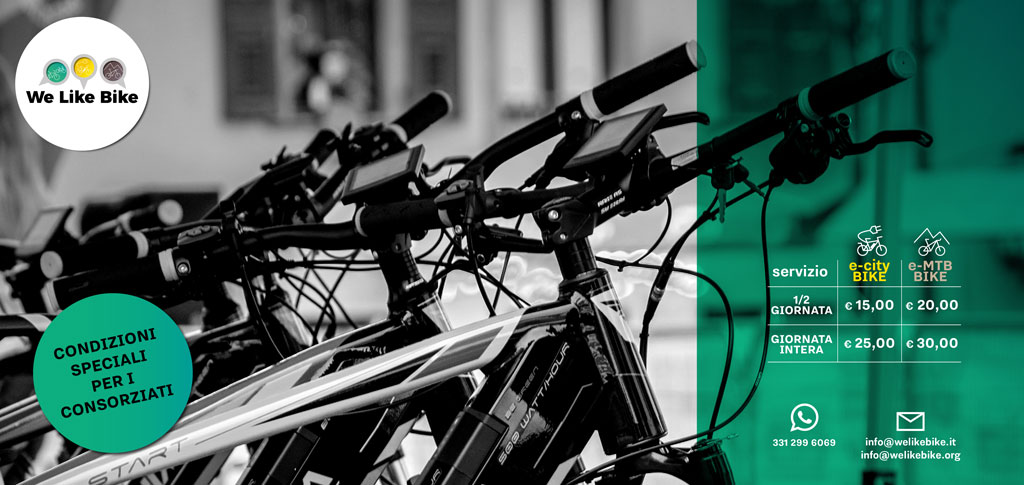 E-Bike Service 2020 E-Bike Service 2020