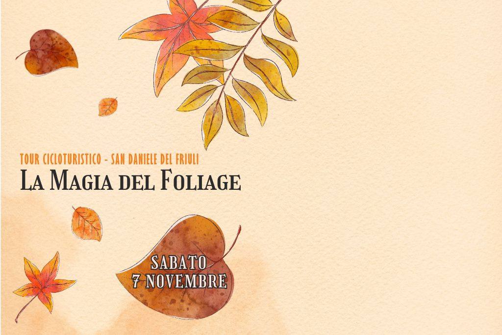 La Magia del Foliage